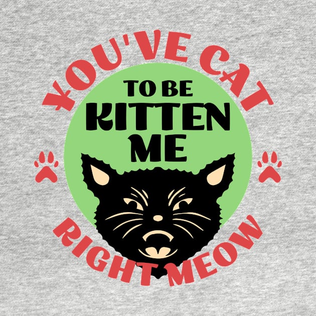 You've Cat To be Kitten Me by Flying Cat Designs